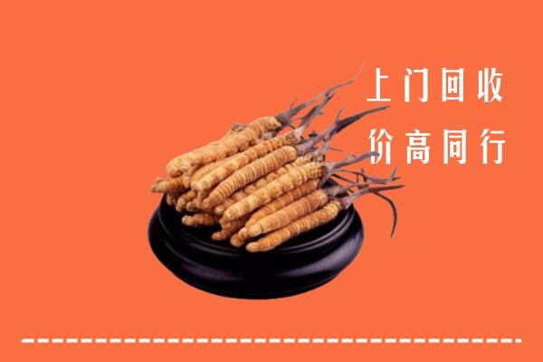 附近收购：唐山冬虫夏草回收多少钱每克